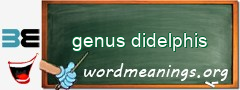 WordMeaning blackboard for genus didelphis